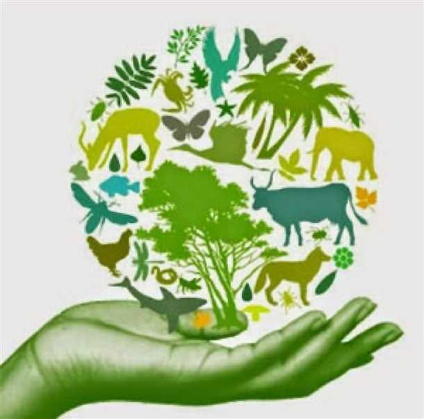 Важность образования и просвещения