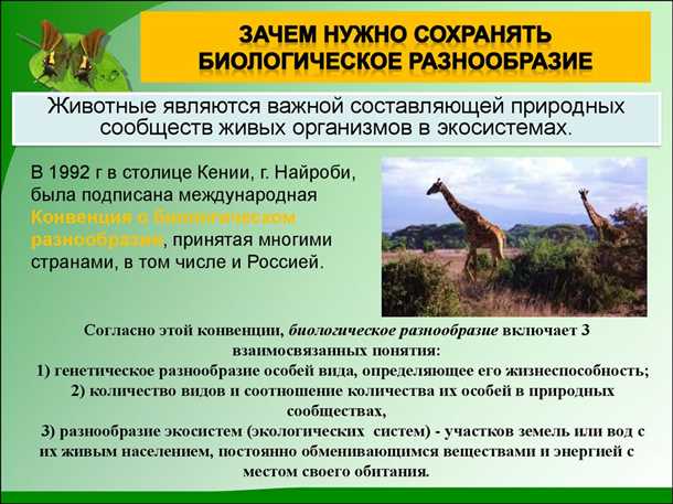 Значение биологического разнообразия для человека