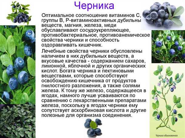 Улучшение зрения