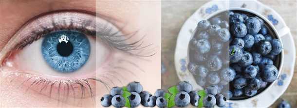 Поддержка сердечно-сосудистой системы