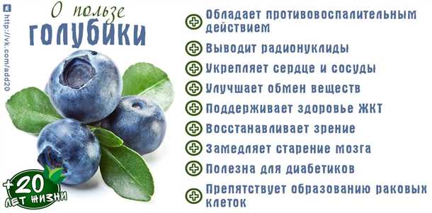 11. Противовоспалительное действие черники