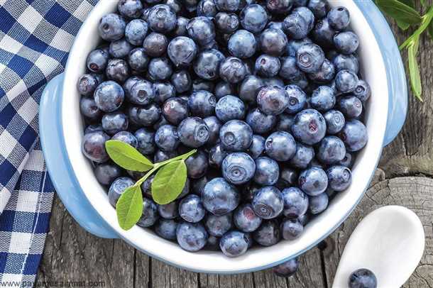 Рекомендации по употреблению черники для поддержания сердечно-сосудистой системы: