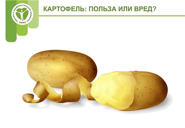 Сферы применения картофеля