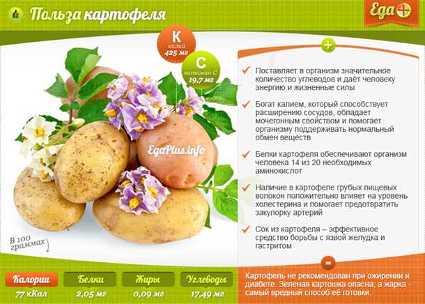 Картофель: культура и экономия