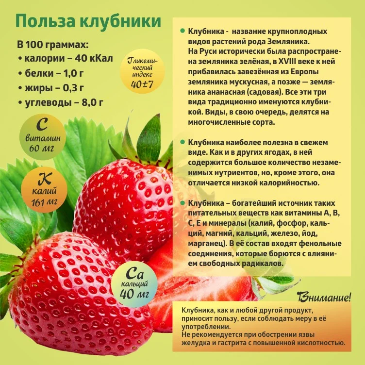Клубника - фрукт с редкими вкусовыми и лечебными свойствами Клубника: польза и вред