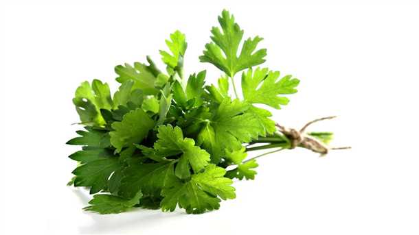 Антиоксиданты