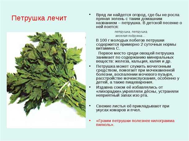 Поддержка печени