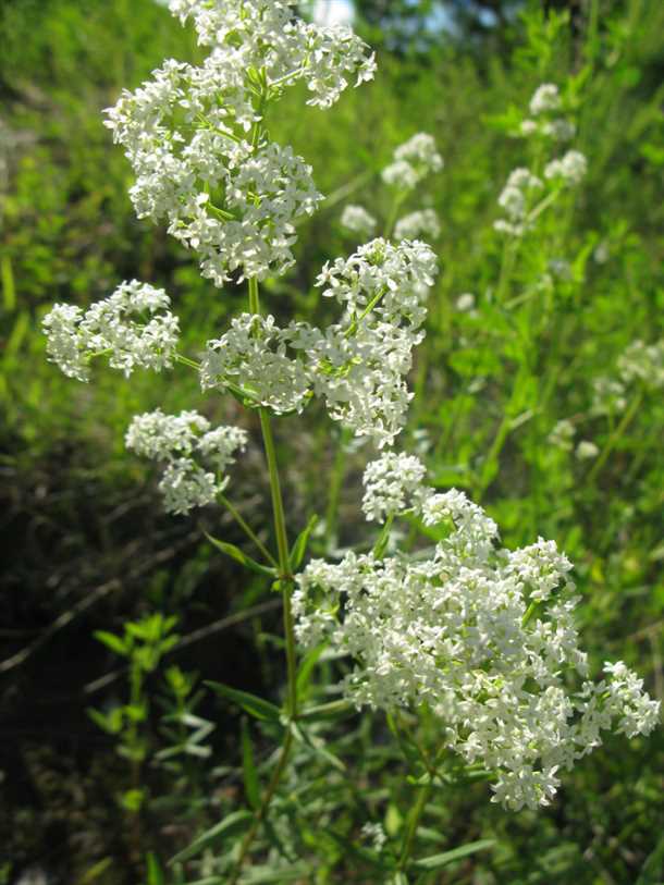 2. Ванночки и обертывания