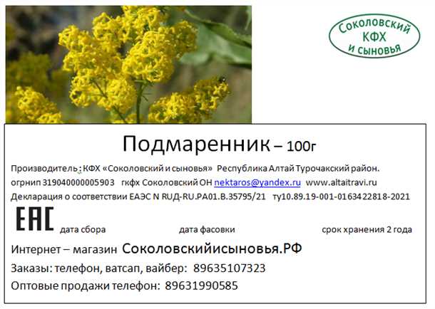 Подмаренник: использование для лечения ожогов