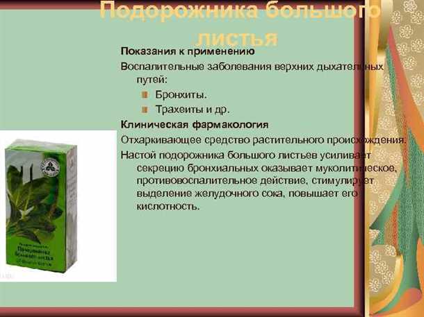 Родом из дикой природы