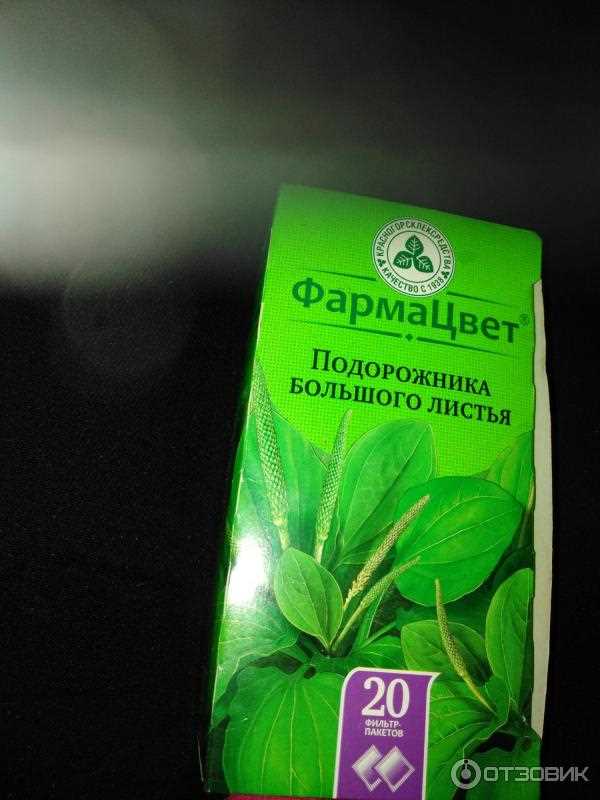 Механизм действия подорожника на слизистые оболочки