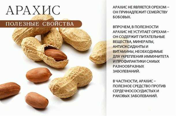 Польза орехов для кожи