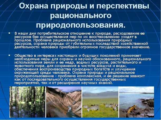 Выбор подходящих технологий переработки