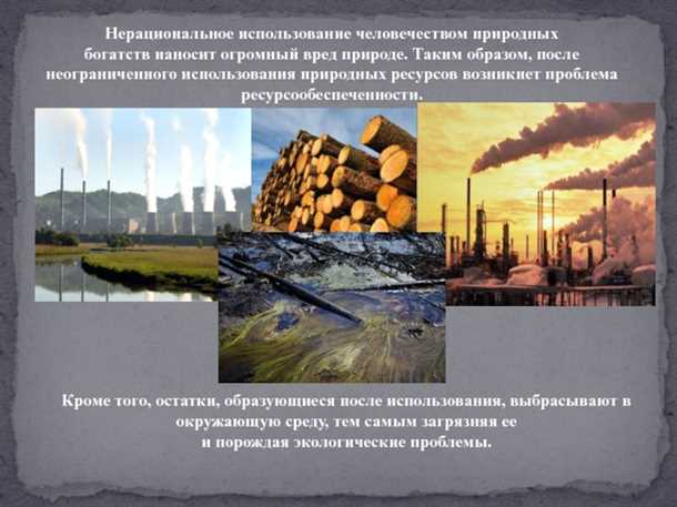 Организация переработки