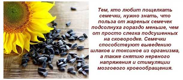 Преимущества полезных жирных кислот для здоровья