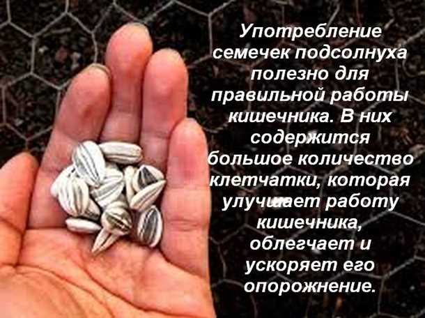 11. Помогают контролировать аппетит и поддерживать нормальный вес