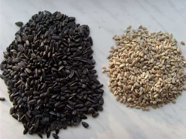 Повышают иммунитет и защиту организма