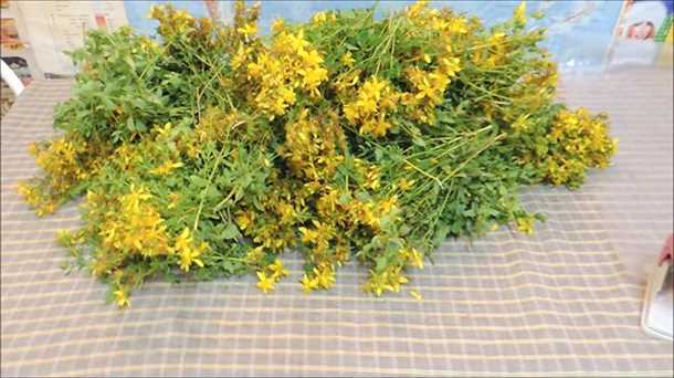 Взаимодействие с другими препаратами